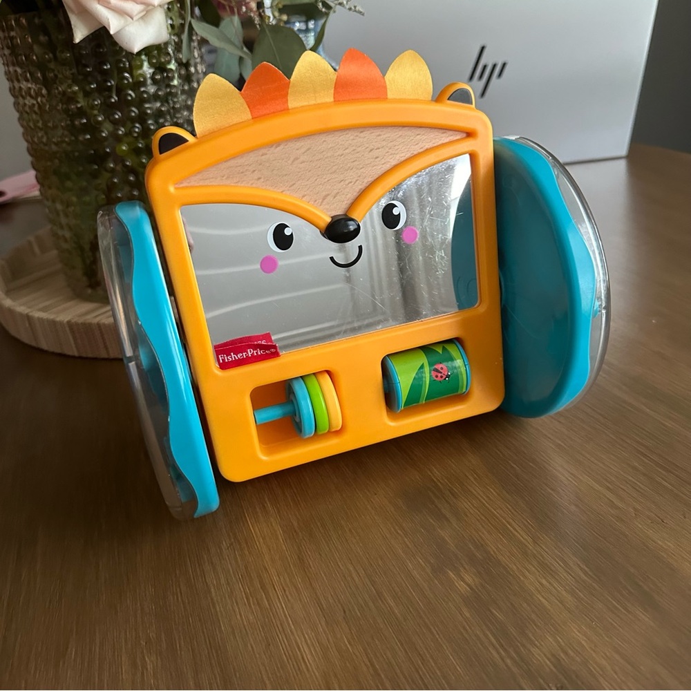 Fisher-Price Play & Crawl Hedgehog Rolling Mirror